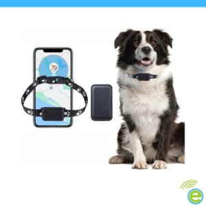 Rastreador Gps P03 Tiempo Real Para Mascotas